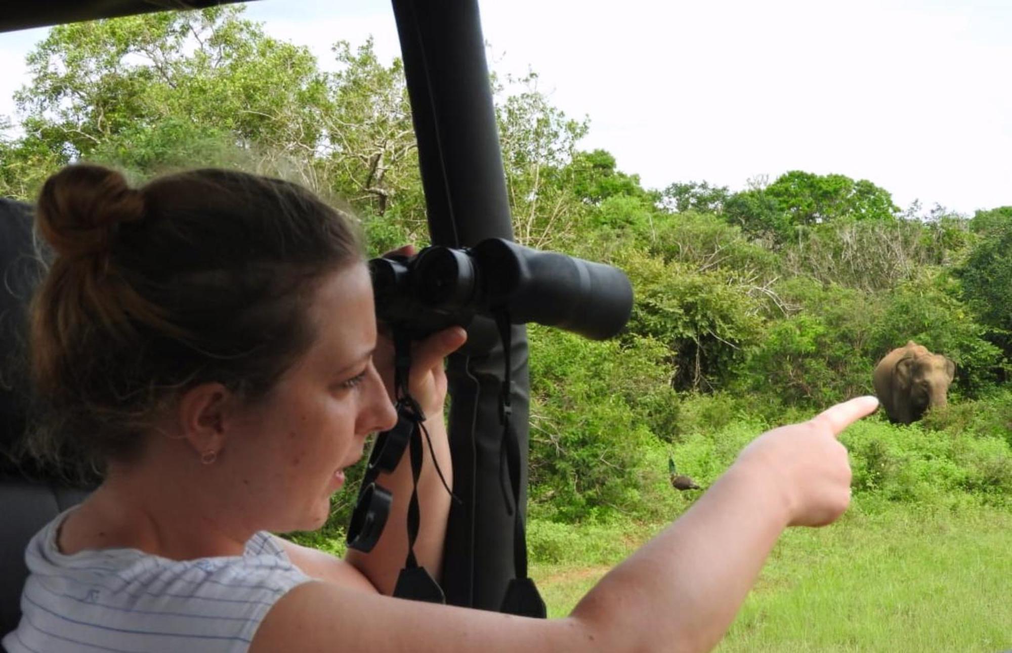 קטרגמה Funky Leopard Safari Lodge Bordering Yala National Park מראה חיצוני תמונה