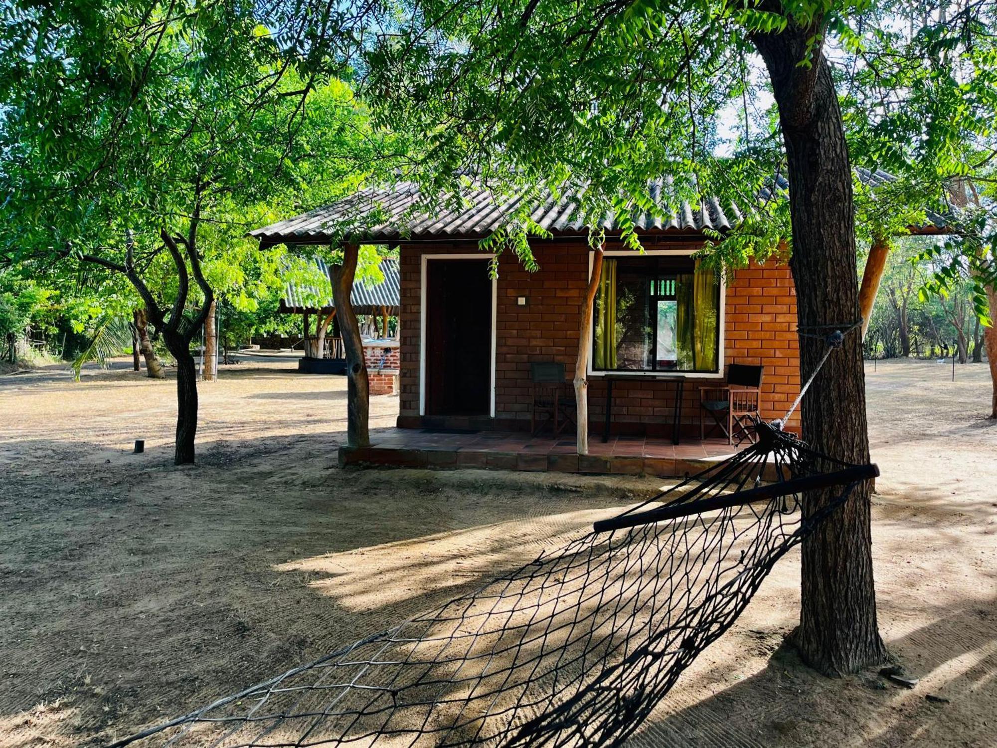 קטרגמה Funky Leopard Safari Lodge Bordering Yala National Park מראה חיצוני תמונה