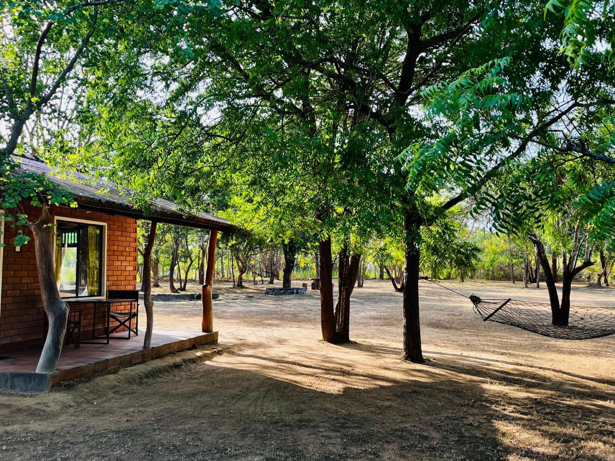 קטרגמה Funky Leopard Safari Lodge Bordering Yala National Park מראה חיצוני תמונה